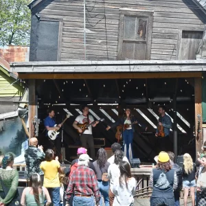 shel - backyard - end